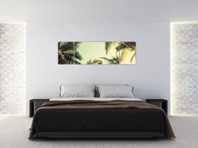 Obraz z palmami kokosowymi (170x50 cm)