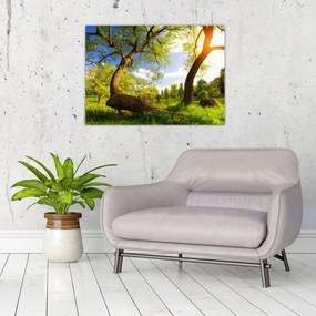 Obraz na szkle wiosennej łąki (70x50 cm)