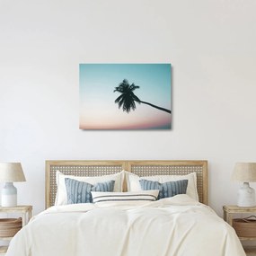 Obraz na szkle - Palma na Bali (70x50 cm)