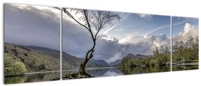 Obraz rzeki z drzewem (170x50 cm)