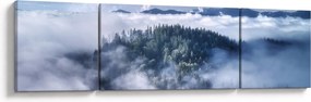 Obraz lasu we mgle (170x50 cm)