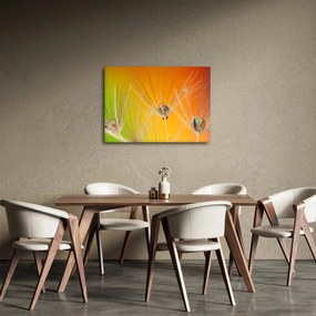 Obraz kropli na roślinie (70x50 cm)