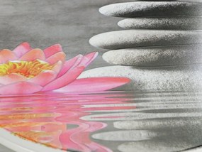 Deska sedesowa WATER LILY, Thermoplast, WENKO