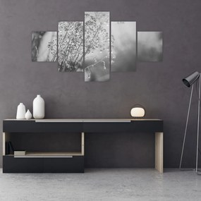 Obraz - Łąka po deszczu (125x70 cm)