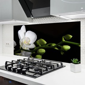 Panel Szklany Botaniczna Elegancja Kwiatów