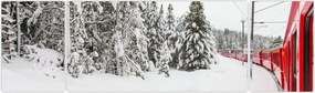 Obraz - Pociąg w zaśnieżonym krajobrazie (170x50 cm)