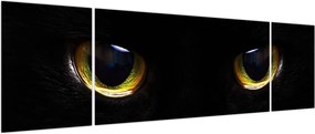 Obraz - Kocie oczy (170x50 cm)