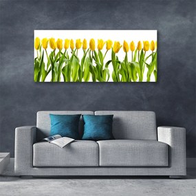 Obraz Canvas Tulipany Kwiaty Natura