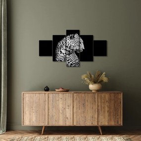 Obraz - Lampart (125x70 cm)