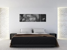 Obraz - Trawa łąkowa (170x50 cm)