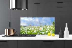 Panel Kuchenny Dywan Białych Stokrotek