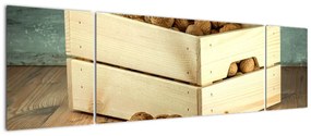 Obraz - Jesienna martwa natura z orzechami (170x50 cm)
