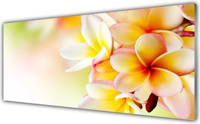 Panel Kuchenny Wyjątkowa Kompozycja Kwiatowa