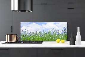 Szkło Dekoracyjne do Kuchni Harmonijna Flora Ogrodowa