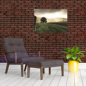 Obraz łąki (70x50 cm)