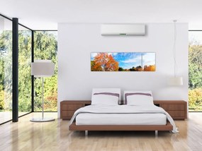 Obraz - Jesienny krajobraz (170x50 cm)