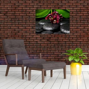 Obraz - Kamienie lawy (70x50 cm)