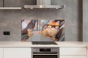 Panel Szklany Inteligentny Kot Bibliofil