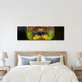 Szczegółowy obraz oczu owadów (170x50 cm)