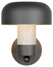 Zewnętrzna lampa ścienna (wysokość 24,5 cm) Fraser – Trio