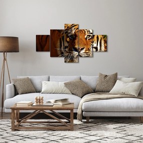 Obraz tygrysa (125x70 cm)