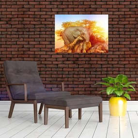Obraz zwierząt afrykańskich (70x50 cm)