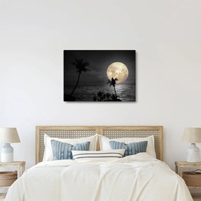 Obraz - Plaża pod pełnią księżyca w odcieniach szarości (70x50 cm)