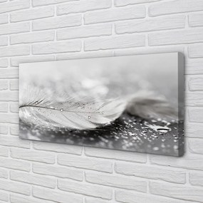 Obraz canvas na ścianę Delikatne Krople na Piórku