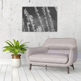 Obraz na szkle - Mroźne zimno (70x50 cm)