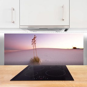 Panel Szklany Piaszczyste Wydmy Pustyni