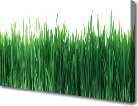 Obraz canvas Naturalna Świeżość Trawy