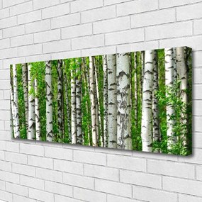 Zdjęcie na płótnie Dziki Bór Sosnowy