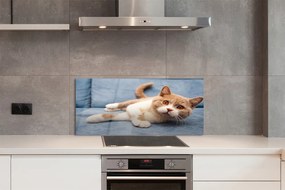 Panel szklany do Kuchni Spokojny Odpoczynek Kota