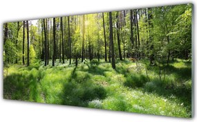 Panel Szklany Leśna Ścieżka wśród Traw