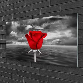 Obraz Akrylowy Róża Kwiat Roślina Morze