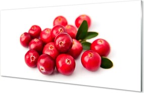 Panel szklany do Kuchni Dojrzałe Zielone Awokado