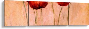 Obraz - Czerwone tulipany (170x50 cm)