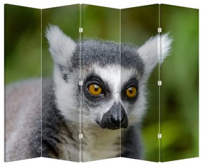 Parawan - Lemur (210x170 cm)