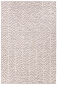 Dywan Flora 56003/D9TJ 200x285 Prostokąt