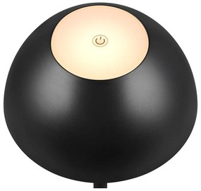 Lampa zewnętrzna ze ściemniaczem ø 13,5 cm Ricardo – Trio