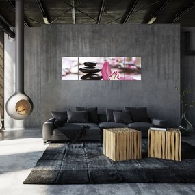 Obraz kamieni do masażu i storczyków (170x50 cm)