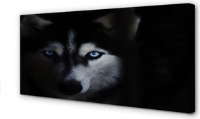 Obraz na płótnie Spojrzenie Wilka