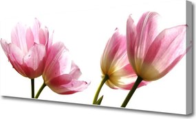 Obraz na płótnie Kwiatowy Akcent Wnętrza