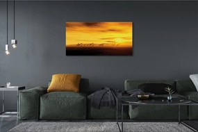 Duży obraz na płótnie Drzewo i Żyrafy pod Niebem