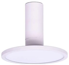 Rabalux 71328 - Oprawa sufitowa LED OVIDIA LED/20W/230V 3000K biała