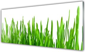 Panel Kuchenny Polna Trawa O Złotej Godzinie