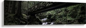 Obraz z czarnego lasu (170x50 cm)