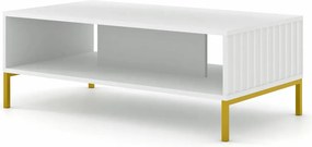 Ława kawowa z lamelami biały mat + złote nóżki D8-H60