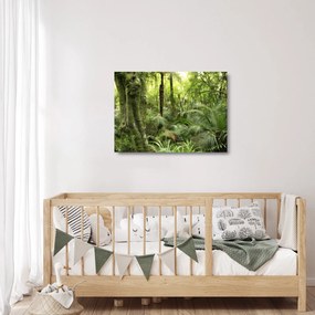 Obraz na szkle tropikalnego lasu deszczowego (70x50 cm)