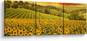 Obraz - Pole słoneczników (z zegarem) (90x30 cm)